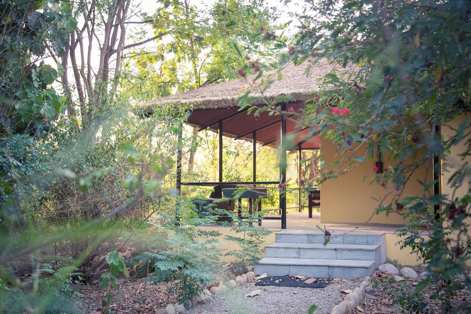 Hotel Jim'S Jungle Retreat Ramnagar  Zewnętrze zdjęcie