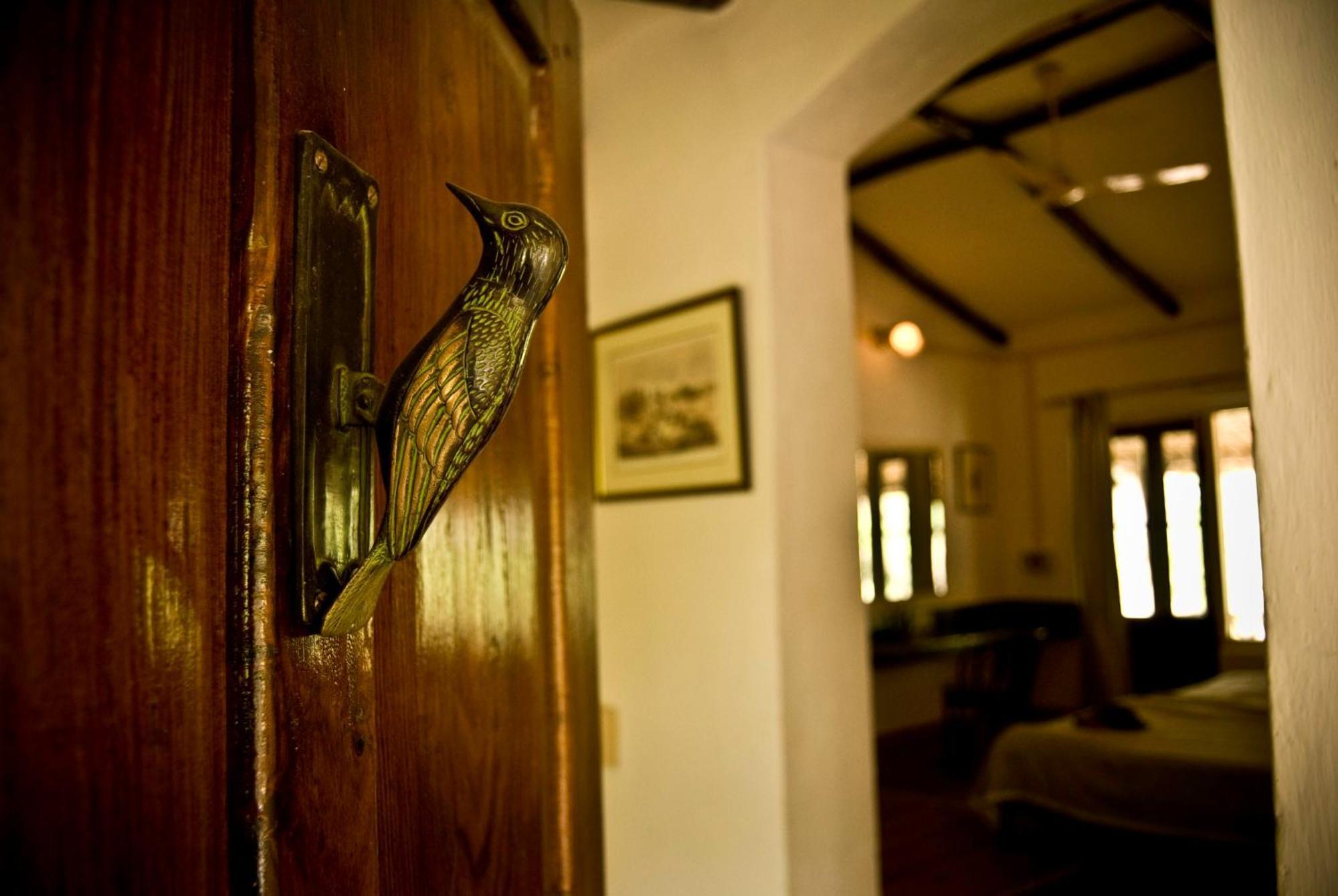 Hotel Jim'S Jungle Retreat Ramnagar  Zewnętrze zdjęcie