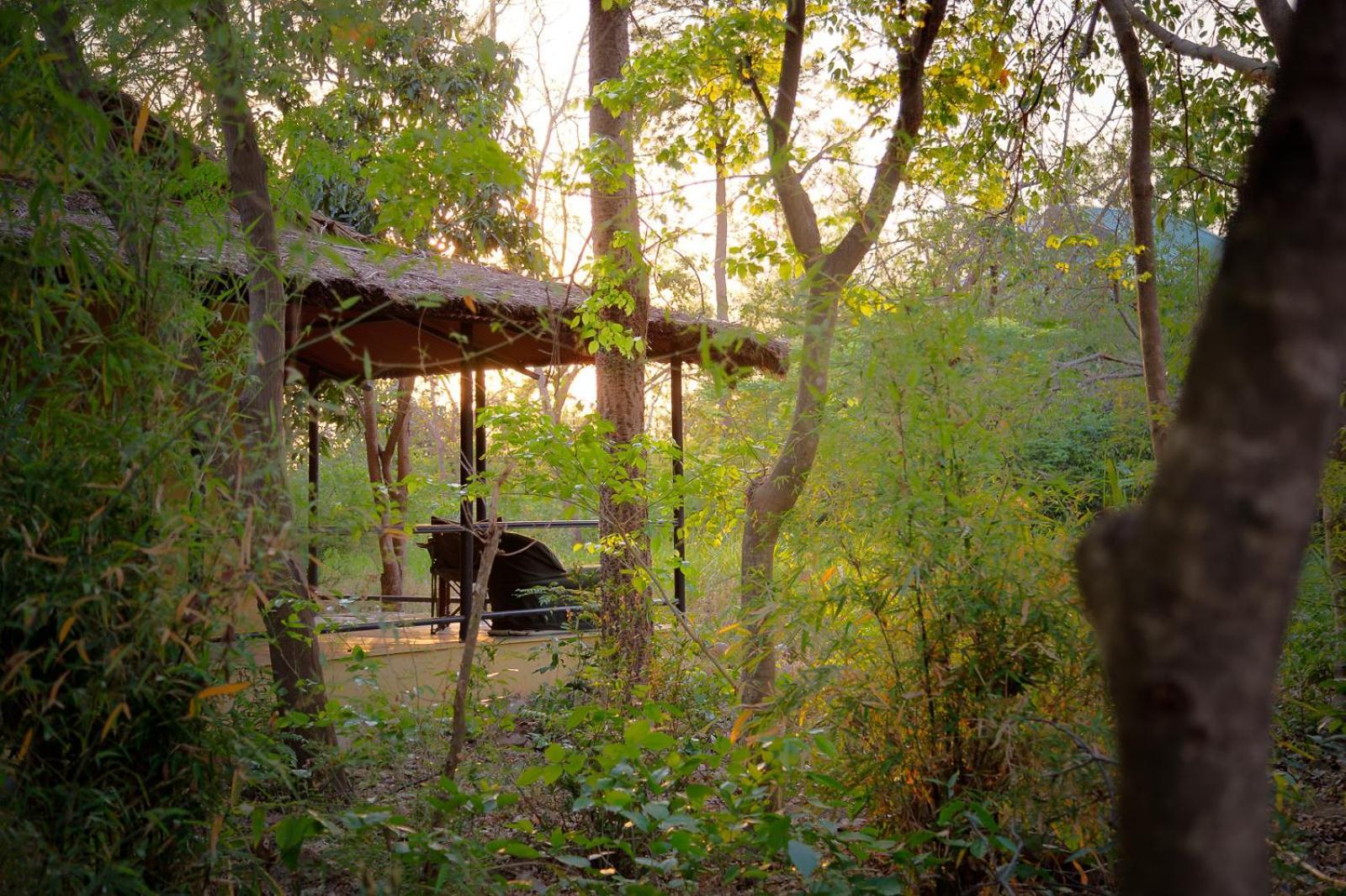 Hotel Jim'S Jungle Retreat Ramnagar  Zewnętrze zdjęcie