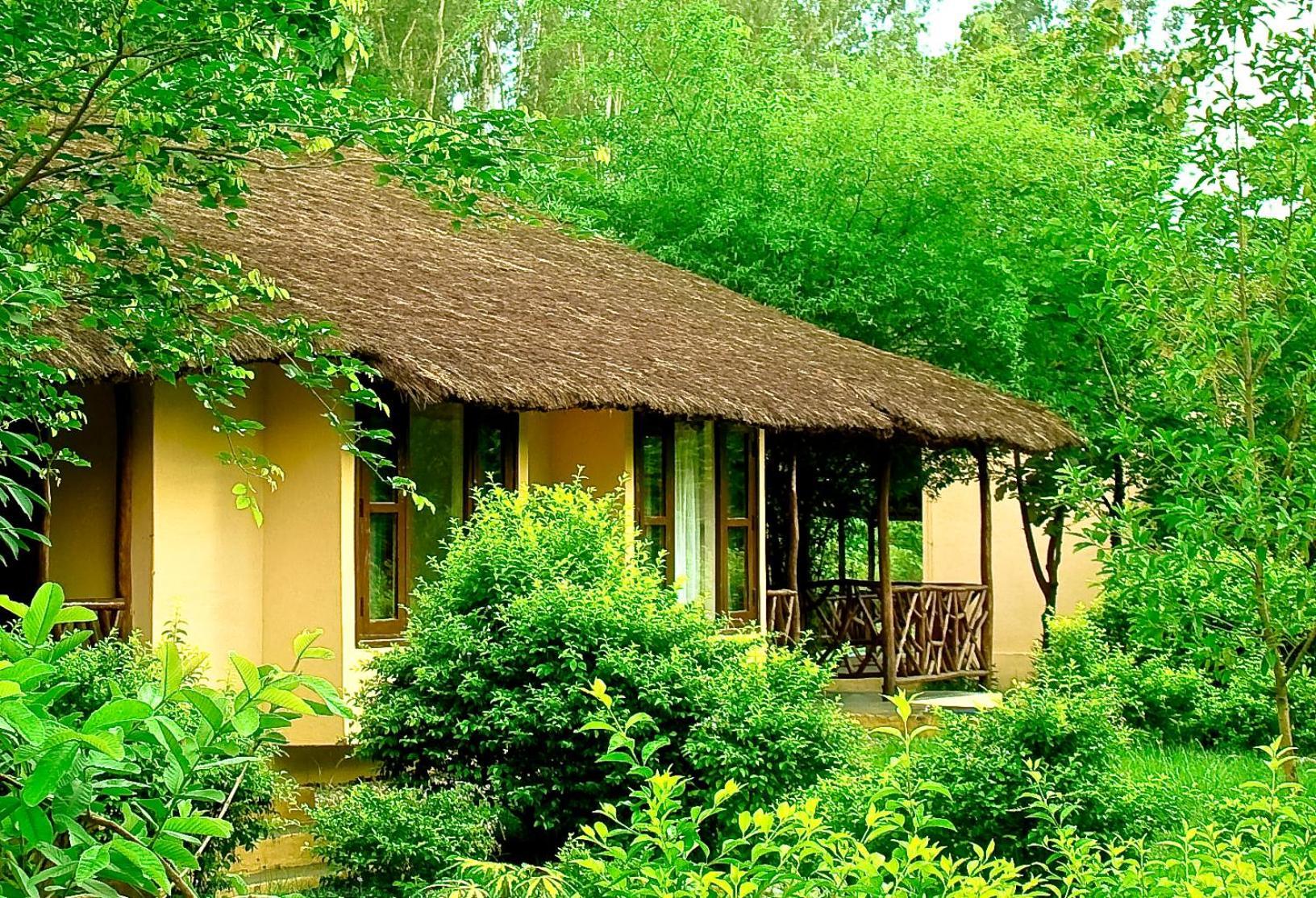 Hotel Jim'S Jungle Retreat Ramnagar  Zewnętrze zdjęcie