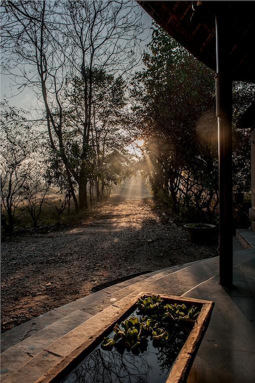 Hotel Jim'S Jungle Retreat Ramnagar  Zewnętrze zdjęcie
