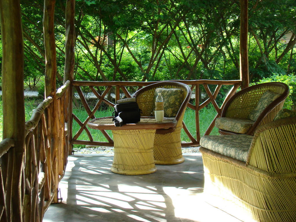 Hotel Jim'S Jungle Retreat Ramnagar  Pokój zdjęcie