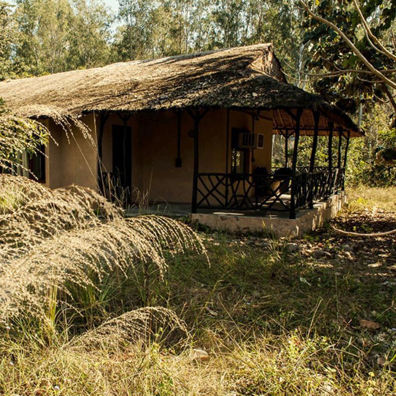 Hotel Jim'S Jungle Retreat Ramnagar  Zewnętrze zdjęcie
