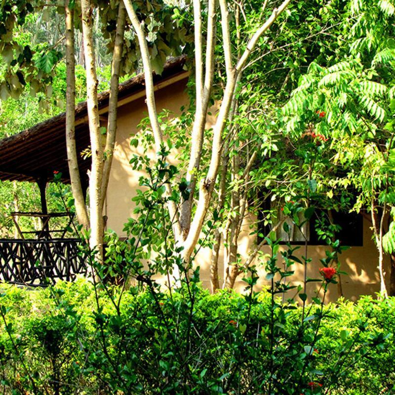 Hotel Jim'S Jungle Retreat Ramnagar  Zewnętrze zdjęcie