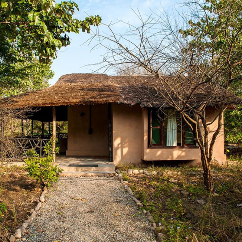 Hotel Jim'S Jungle Retreat Ramnagar  Zewnętrze zdjęcie