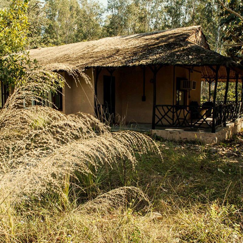 Hotel Jim'S Jungle Retreat Ramnagar  Zewnętrze zdjęcie
