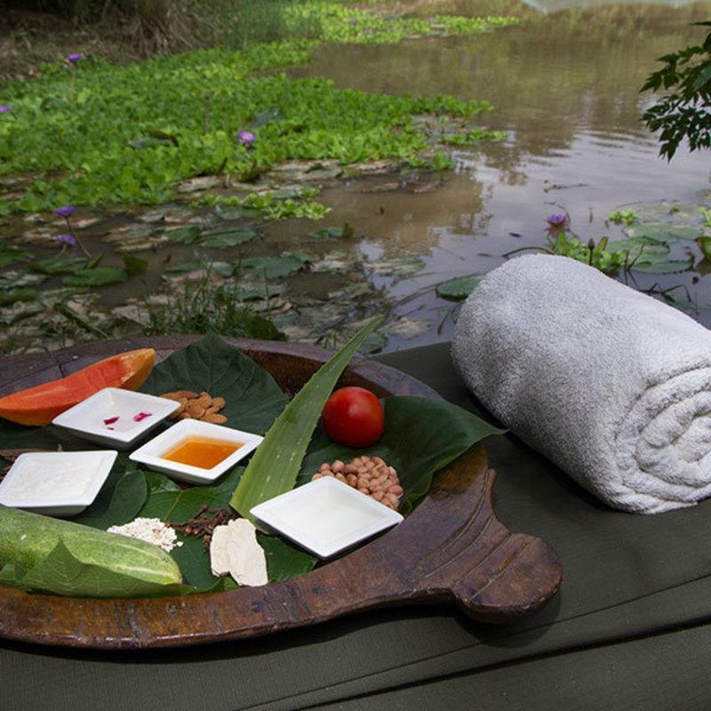Hotel Jim'S Jungle Retreat Ramnagar  Zewnętrze zdjęcie