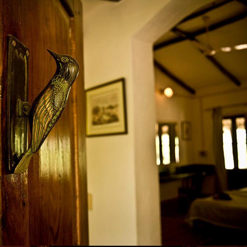 Hotel Jim'S Jungle Retreat Ramnagar  Zewnętrze zdjęcie