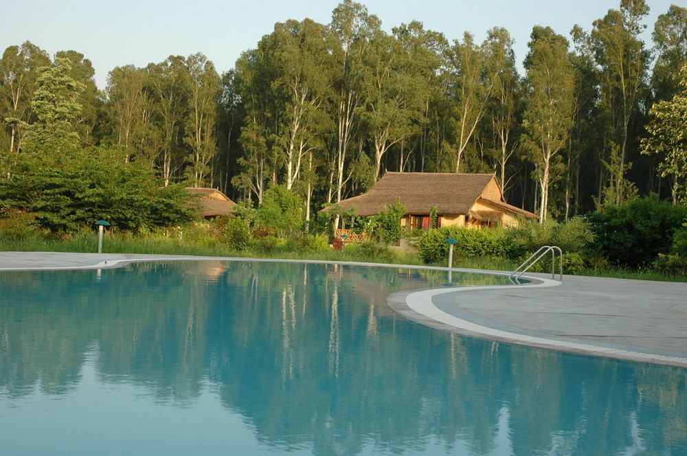 Hotel Jim'S Jungle Retreat Ramnagar  Zewnętrze zdjęcie