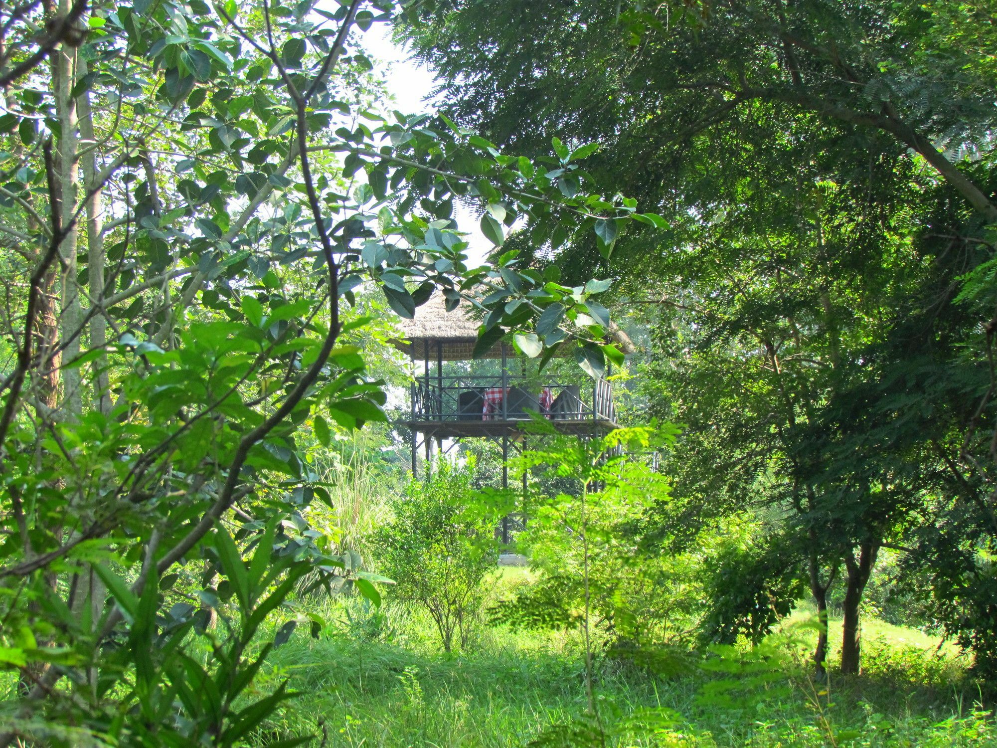 Hotel Jim'S Jungle Retreat Ramnagar  Zewnętrze zdjęcie