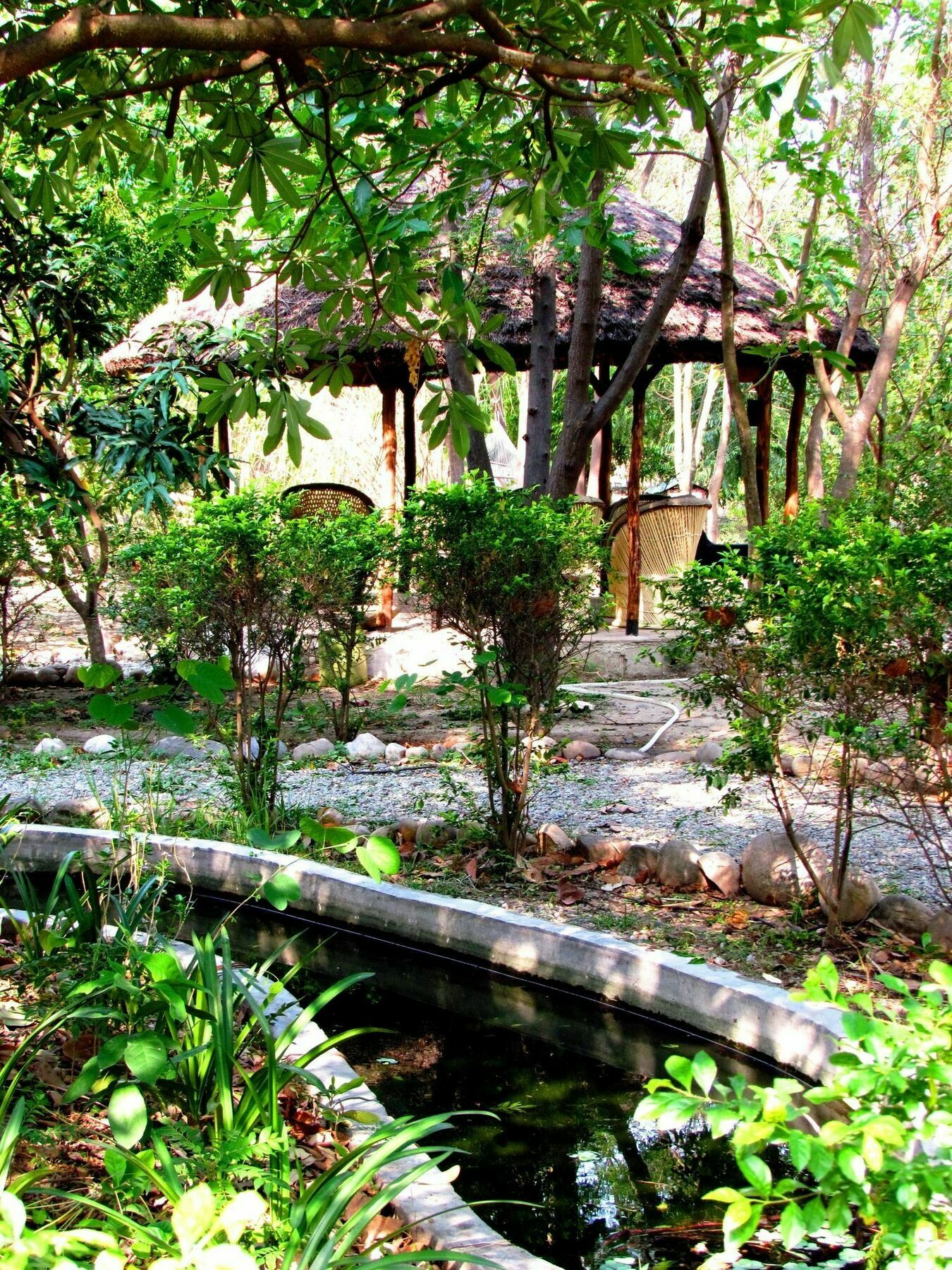 Hotel Jim'S Jungle Retreat Ramnagar  Zewnętrze zdjęcie