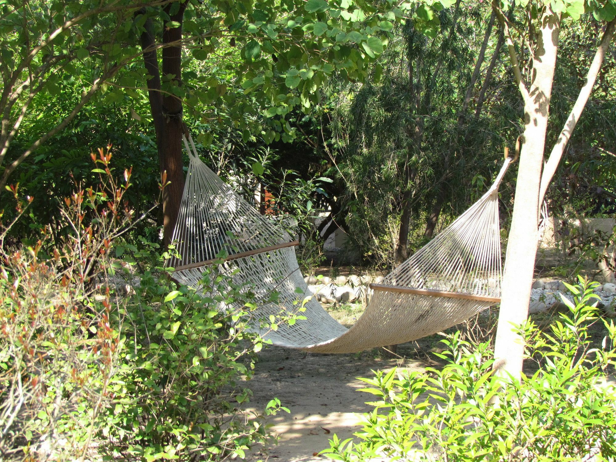 Hotel Jim'S Jungle Retreat Ramnagar  Zewnętrze zdjęcie